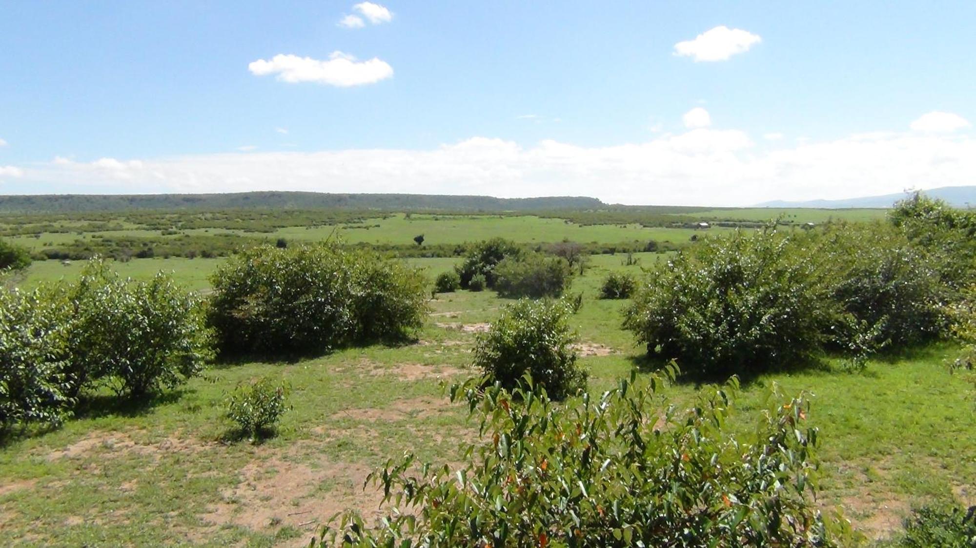 Narasha Homestay - Maasai Mara Talek Zimmer foto