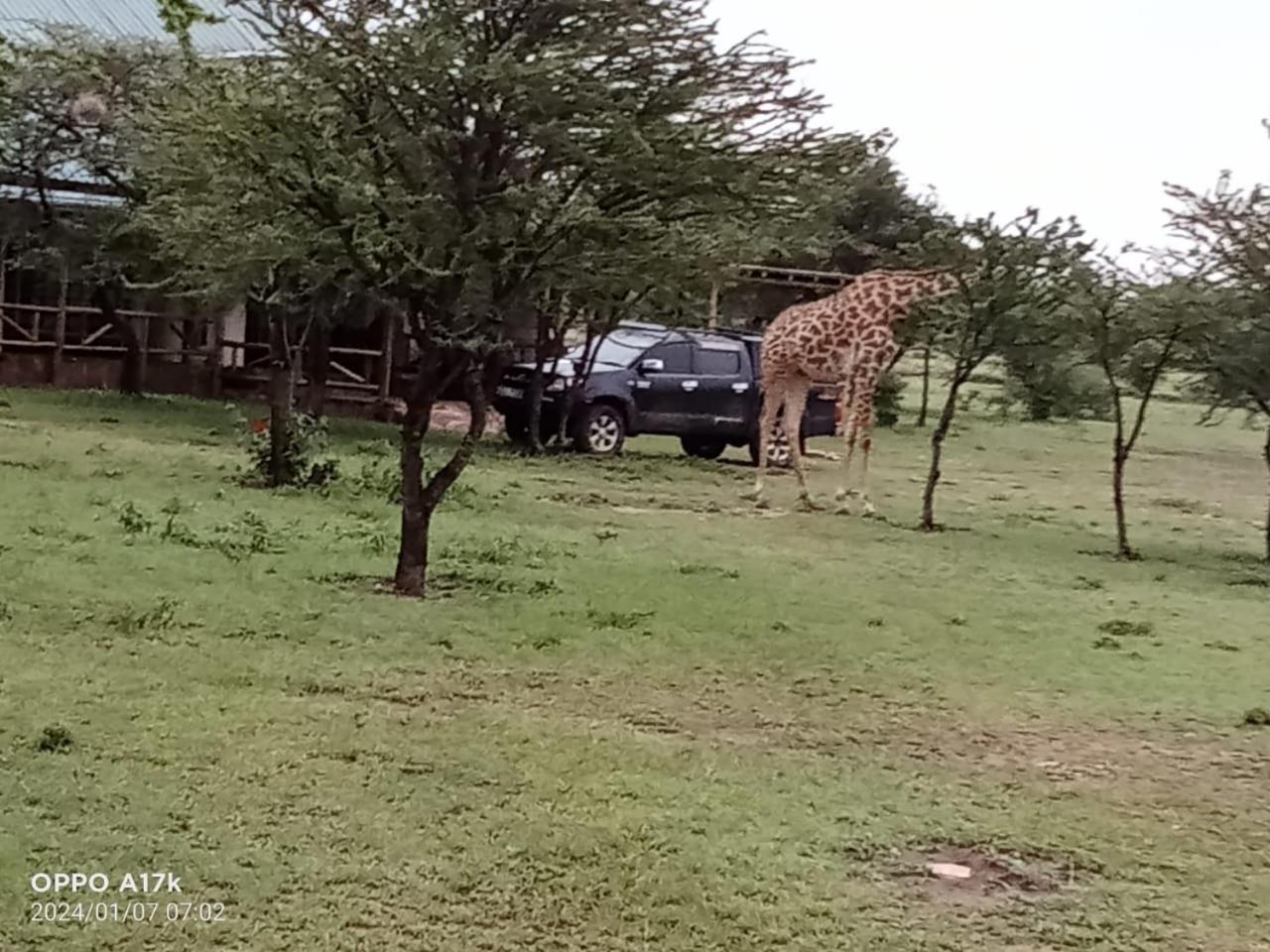 Narasha Homestay - Maasai Mara Talek Zimmer foto